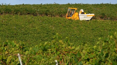 VIGNETO tipico siciliano a Salemi panoramiche e particolari. Fotografie di Giulio Azzarello &copy;2014.