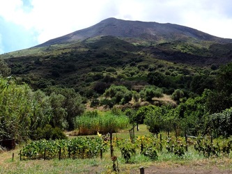 STROMBOLI fotografie di Giulio Azzarello ©2020. STROMBOLI fotografie di Giulio Azzarello ©2020.