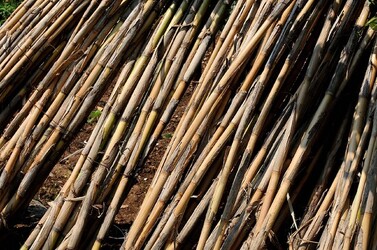 IL CANNETO del contadino siciliano. Fotografie di Giulio Azzarello &copy;2014.