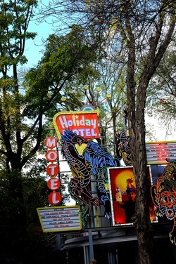 BIENNALE di VENEZIA 2017 i giardini. Fotografie di Giulio Azzarello ©2018. BIENNALE di VENEZIA 2017 i giardini. Fotografie di Giulio Azzarello ©2018.