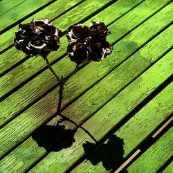 METALLICO. Fotografia di Giulio Azzarello &copy;2023.