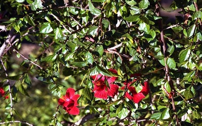 DIGITALIZZAZIONI fotografie di Giulio Azzarello &copy;2020.