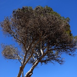 SEGESTA. Fotografie di Giulio Azzarello ©2024. SEGESTA. Fotografie di Giulio Azzarello ©2024.