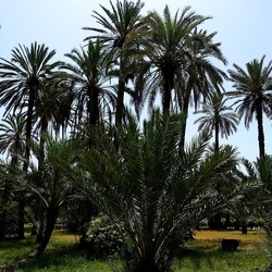PALERMO. Fotografie di Giulio Azzarello &copy;2022.