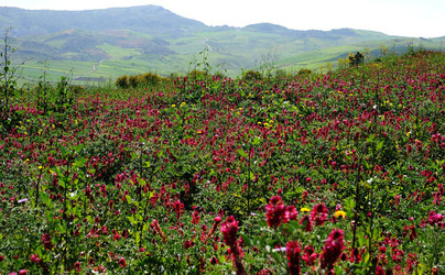 PAESAGGIO SICILIANO nel luogo delle macalube in Sicilia. Fotografie di Giulio Azzarello &copy;2014.