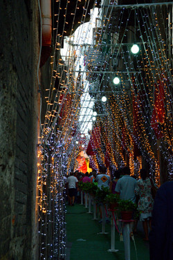 SANTA ROSALIA il festino della patrona di Palermo alcuni momenti. Fotografie di Giulio Azzarello ©2014. SANTA ROSALIA il festino della patrona di Palermo alcuni momenti. Fotografie di Giulio Azzarello ©2014.