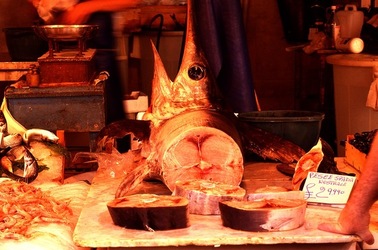 VUCCIRIA anni 90. Fotografie di Giulio Azzarello ©2022. VUCCIRIA anni 90. Fotografie di Giulio Azzarello ©2022.