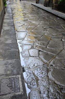 LASTRICATO nel centro storico di Firenze. Fotografie di Giulio Azzarello &copy;2016.
