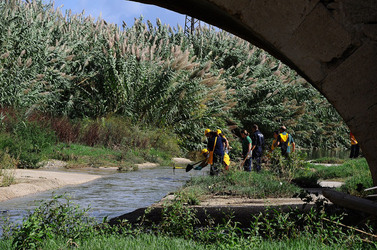 LA BONIFICA delle coste a Palermo una azione simbolica di Lega Ambiente Sicilia. Fotografie di Giulio Azzarello &copy;2014.