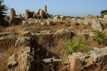 SELINUNTE il sito e parco archeologico. Fotografie di Giulio Azzarello &copy;2014.
