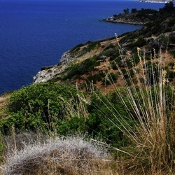 RISERVA dello ZINGARO fotografie di Giulio Azzarello &copy;2020.