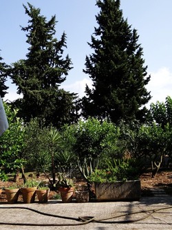 HABITAT NATURA in campagna. Fotografie di Giulio Azzarello ©2015 2016. HABITAT NATURA in campagna. Fotografie di Giulio Azzarello ©2015 2016.