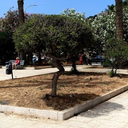 SAN VITO LO CAPO. Fotografie di Giulio Azzarello &copy;2023.