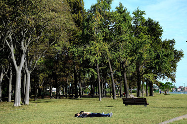 GIARDINI della BIENNALE a Venezia. Foto di Giulio Azzarello &copy;2015 2016.