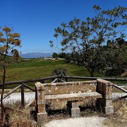 SEGESTA. Fotografie di Giulio Azzarello ©2024. SEGESTA. Fotografie di Giulio Azzarello ©2024.