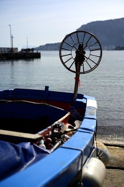 FEBBRAIO Fotografie di Giulio Azzarello &copy;2022.