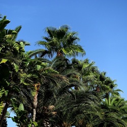 SELINUNTE. Fotografie di Giulio Azzarello ©2022. SELINUNTE. Fotografie di Giulio Azzarello ©2022.