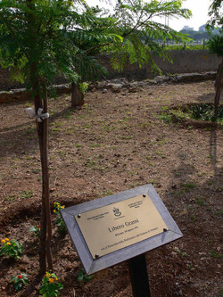 GIARDINO DELLA MEMORIA in Sicilia. Fotografie di Giulio Azzarello &copy;2014.