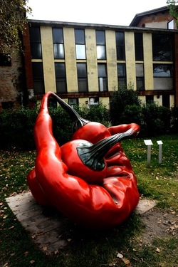 BIENNALE ARTI CONTEMPORANEE DI VENEZIA fotografie di Giulio Azzarello ©2020.