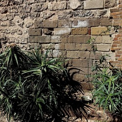 Arabo Normanno. Fotografie di Giulio Azzarello ©2024. Arabo Normanno. Fotografie di Giulio Azzarello ©2024.