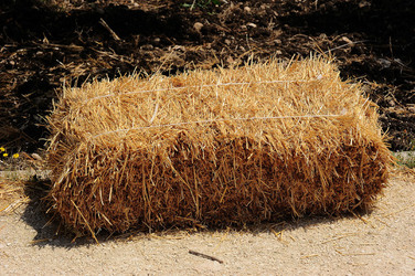 VIGNETO AGRITURISTICO PLANETA a Sambuca di Sicilia. Fotografie di Giulio Azzarello &copy;2014.