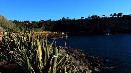 CAPO RAMA riserva naturale Terrasini. Fotografie di Giulio Azzarello &copy;2020.