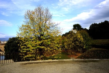 FIRENZE PALAZZO PITTI e GIARDINO DI BOBOLI. Fotografie di Giulio Azzarello &copy;2022.