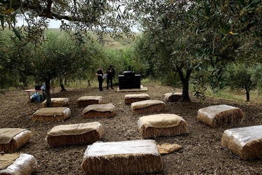 ULIVETO SICILIANO. Fotografie di Giulio Azzarello ©2022.