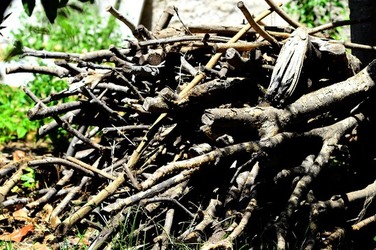 HABITAT NATURA in campagna. Fotografie di Giulio Azzarello ©2015 2016. HABITAT NATURA in campagna. Fotografie di Giulio Azzarello ©2015 2016.