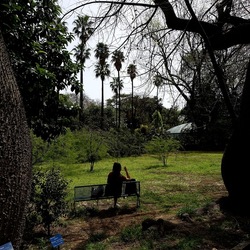 ORTO BOTANICO. Fotografie di Giulio Azzarello &copy;2024.