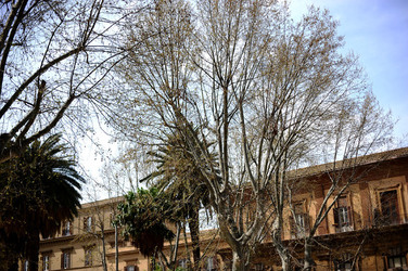 VILLA BONANNO a Palermo. Fotografie di Giulio Azzarello &copy;2016.