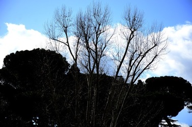COLOSSEO Roma. Fotografie di Giulio Azzarello ©2020. COLOSSEO Roma. Fotografie di Giulio Azzarello ©2020.