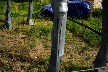 FIUMARA D ARTE Tusa. Fotografie di Giulio Azzarello &copy;2022.