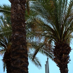 SAN VITO LO CAPO. Fotografie di Giulio Azzarello &copy;2023.