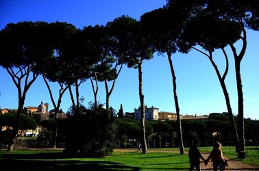 PARCO ARCHEOLOGICO DEL PALATINO Roma. Fotografie di Giulio Azzarello ©2020.