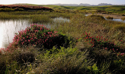 PAESAGGIO SICILIANO nel luogo delle macalube in Sicilia. Fotografie di Giulio Azzarello &copy;2014.
