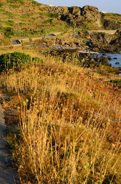 ISOLA DI USTICA la costa. Fotografie di Giulio Azzarello &copy;2016.
