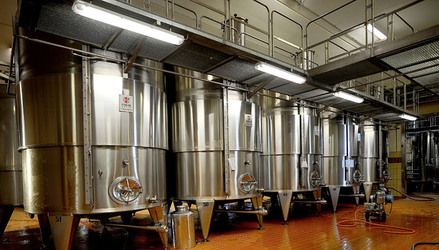 ACCIAI per il vino. Fotografie di Giulio Azzarello ©2016.