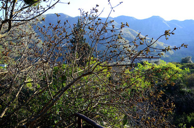 GOLE DELL ALCANTARA in Sicilia. Fotografie di Giulio Azzarello &copy;2016.