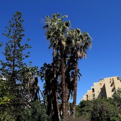 GIARDINO. Fotografie di Giulio Azzarello ©2022.