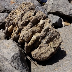 BARCHE. Fotografie di Giulio Azzarello &copy;2022.