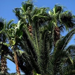 SELINUNTE. Fotografie di Giulio Azzarello ©2022. SELINUNTE. Fotografie di Giulio Azzarello ©2022.