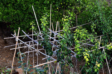 NUVOLE E NATURA fotografie di Giulio Azzarello &copy;2014.