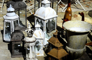 ORTO BOTANICO di Palermo in inverno. Fotografie di Giulio Azzarello &copy;2016.