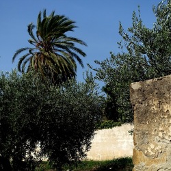 SELINUNTE. Fotografie di Giulio Azzarello ©2022. SELINUNTE. Fotografie di Giulio Azzarello ©2022.