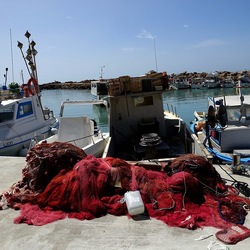 SELINUNTE. Fotografie di Giulio Azzarello &copy;2022.