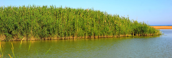 CANNETI in SICILIA. Fotografie di Giulio Azzarello &copy;2016.