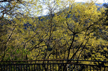 GOLE DELL ALCANTARA in Sicilia. Fotografie di Giulio Azzarello &copy;2016.