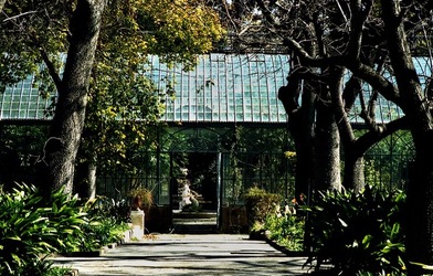 ORTO BOTANICO di Palermo. Fotografie di Giulio Azzarello ©2021.