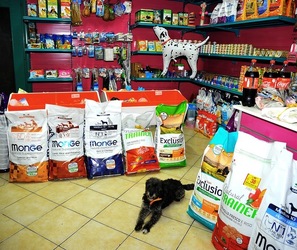 NEGOZIO di ANIMALI. Fotografie di Giulio Azzarello ©2018. NEGOZIO di ANIMALI. Fotografie di Giulio Azzarello ©2018.